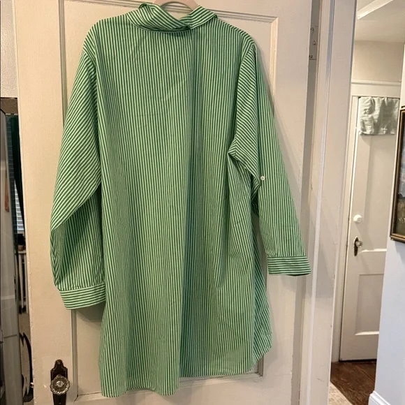 Striped Green Button-Front Shirt Dress - Casual Women’s Dress - Picture 8 of 8